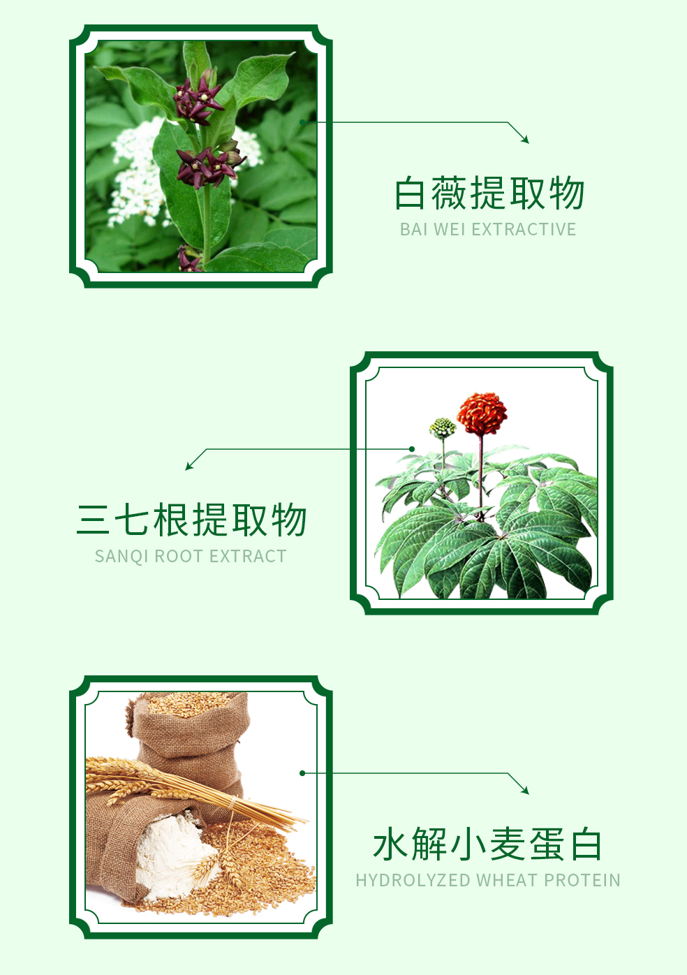 详情_04.jpg