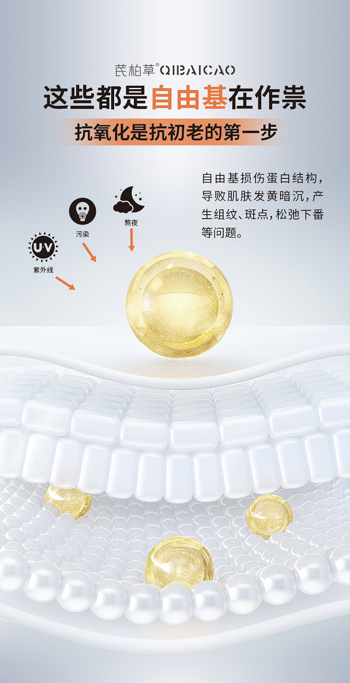VC详情-新_03.jpg