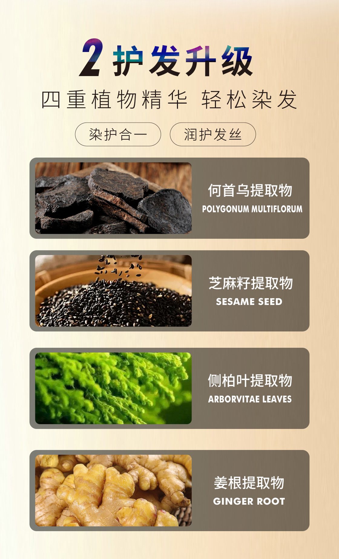 萌宠IP染发系列详情_05.jpg